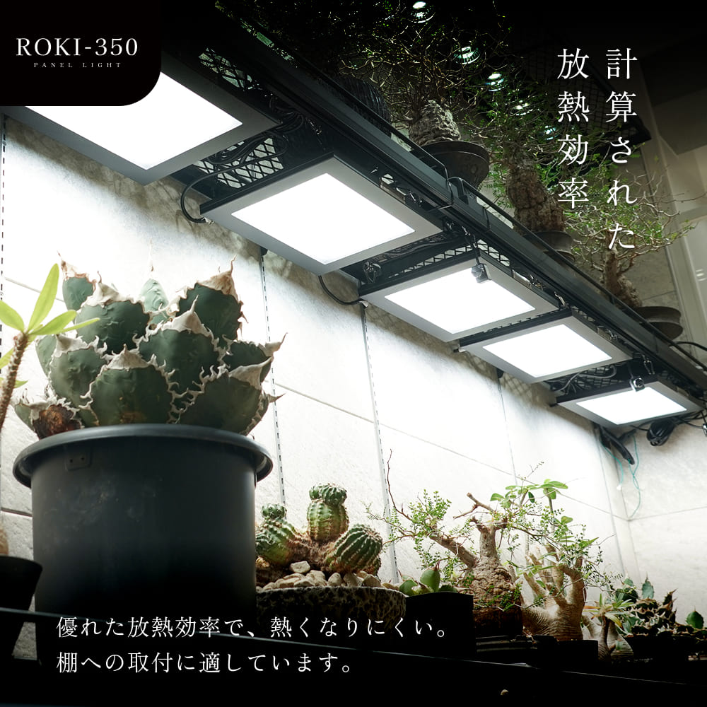 �ڥ��å�����ۡ��ܳ�ê�����������������å�|ROKI-350��PLANT OPEN RACK 100 (�ޥ��ͥåȥեå��դ�)