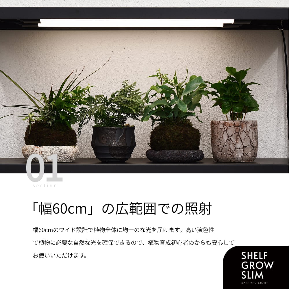 �ڥ��å�����ۡ�ê�����������������å�|SHELF GROW SLIM��PLANT OPEN RACK 100