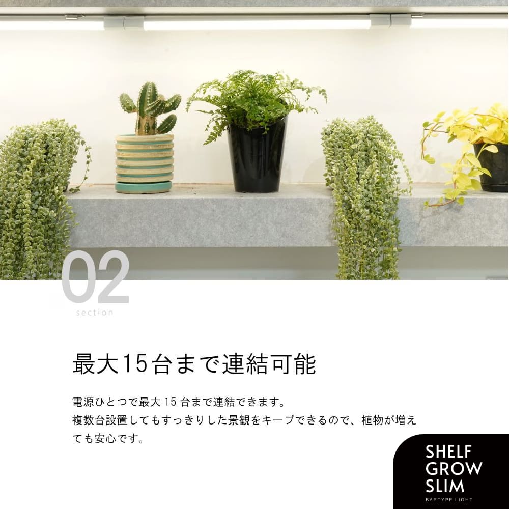 �ڥ��å�����ۡ�ê�����������������å�|SHELF GROW SLIM��PLANT OPEN RACK 100