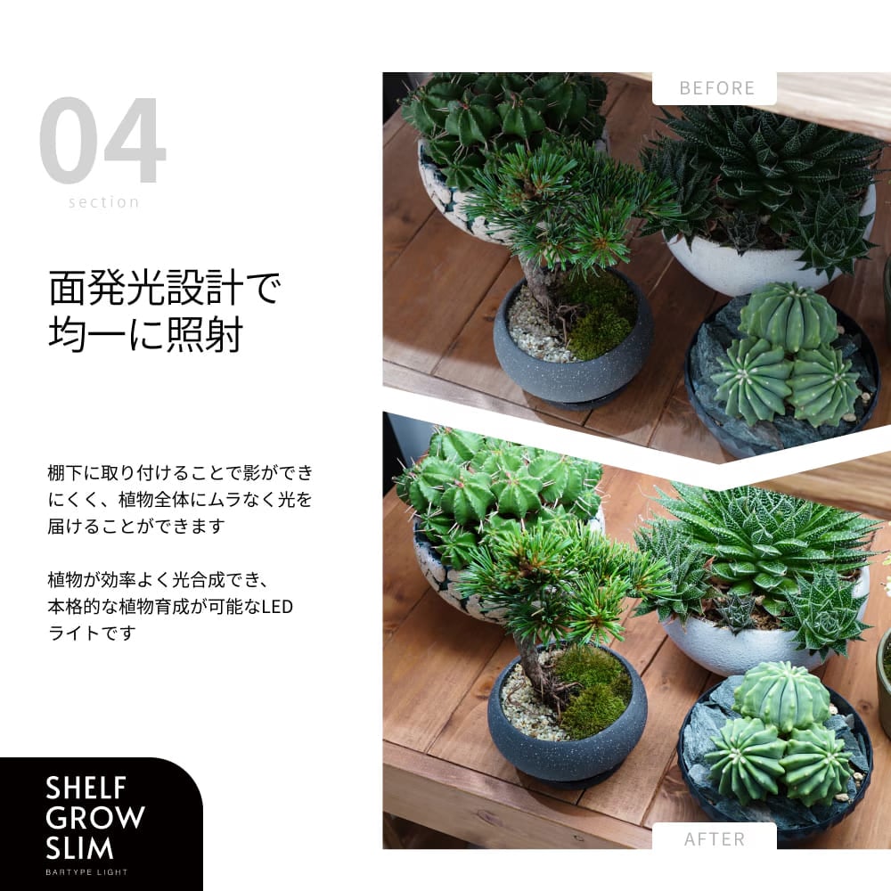 �ڥ��å�����ۡ�ê�����������������å�|SHELF GROW SLIM��PLANT OPEN RACK 100