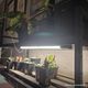 �ڥ��å�����ۡ�ê�����������������å�|SHELF GROW SLIM��PLANT OPEN RACK 100