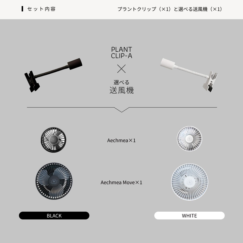 �����٤륯��åץ��������åȡ�|  PLANT CLIP E26 |�� Aechmea ��or Aechmea Move