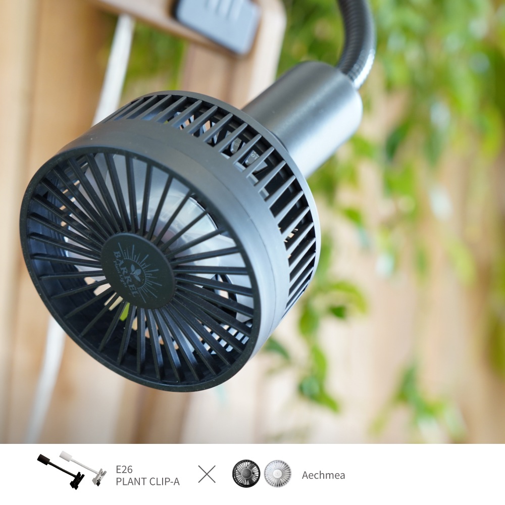 �����٤륯��åץ��������åȡ�|  PLANT CLIP E26 |�� Aechmea ��or Aechmea Move