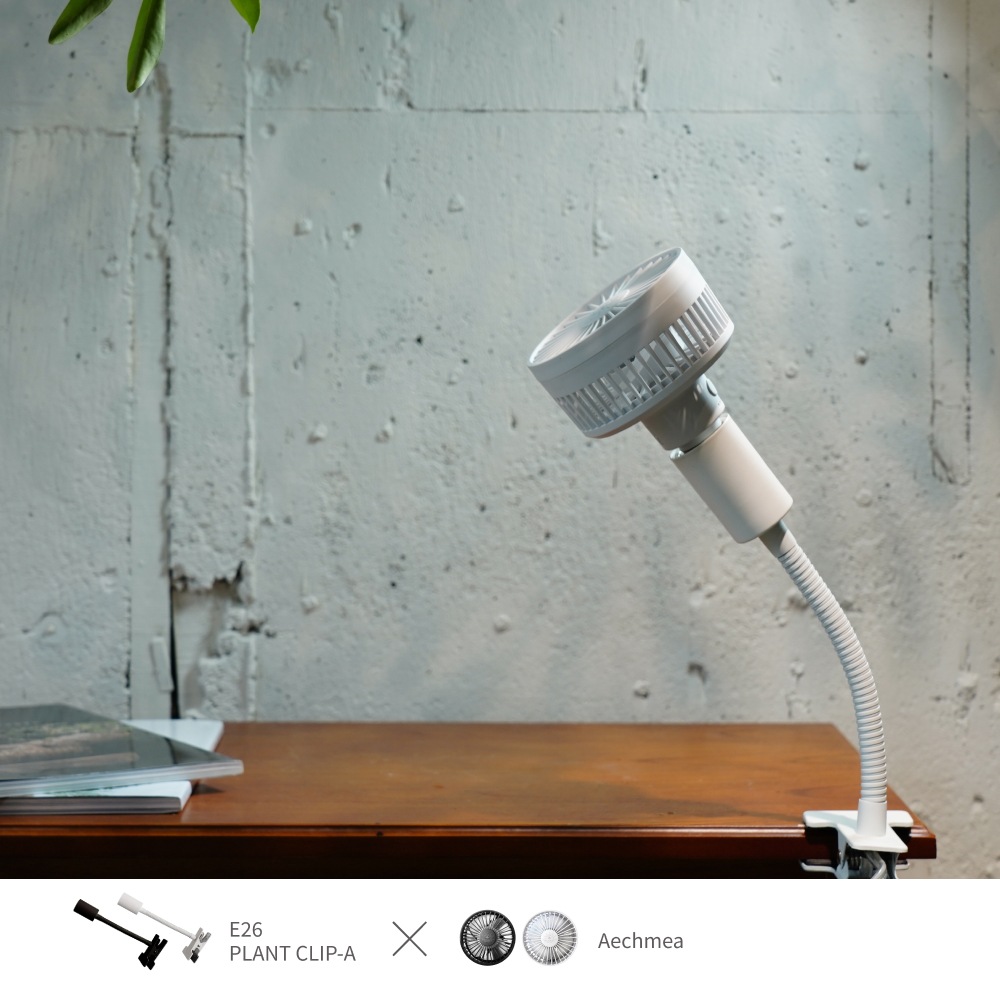 �����٤륯��åץ��������åȡ�|  PLANT CLIP E26 |�� Aechmea ��or Aechmea Move