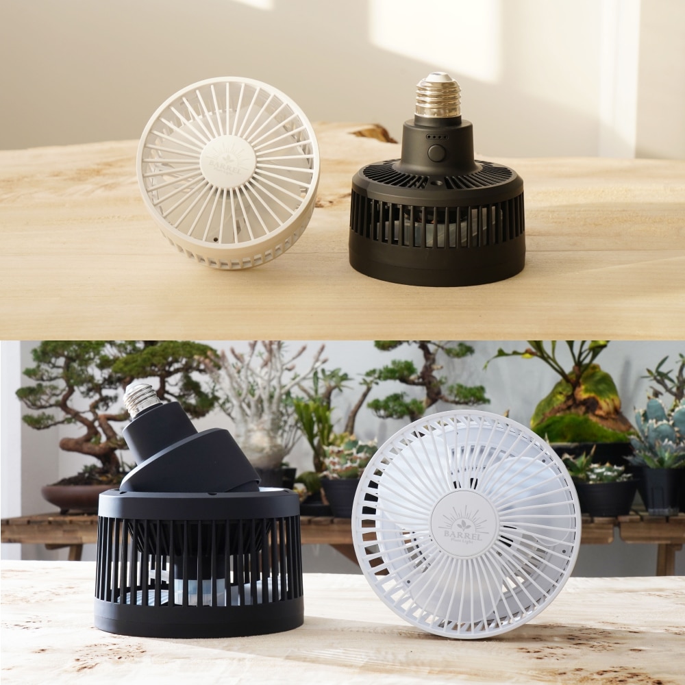 �����٤륯���ץ��ץ��������åȡ� ��Clamp Lamp Socket�� �� Aechmea�� or Aechmea Move