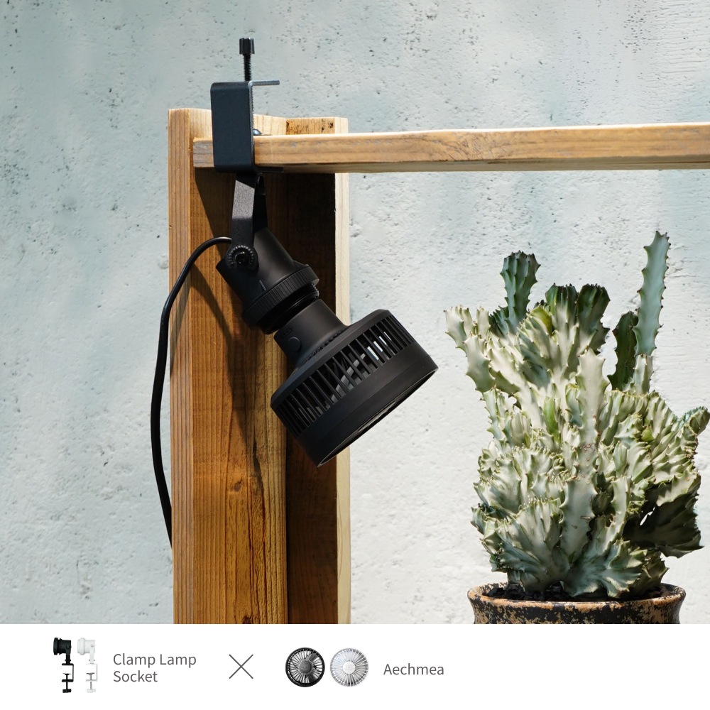 �����٤륯���ץ��ץ��������åȡ� ��Clamp Lamp Socket�� �� Aechmea�� or Aechmea Move