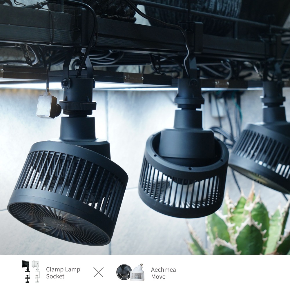 �����٤륯���ץ��ץ��������åȡ� ��Clamp Lamp Socket�� �� Aechmea�� or Aechmea Move