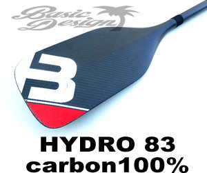 2017 ブラックプロジェクト ハイドロ レーシング BLACK PROJECT