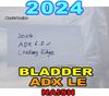 2024 �ʥå��� �����ǥ����å��� ������ �֥���� NAISH ADX WING BLADER ��new��