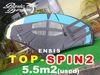 2025 ���󥷥� �ȥåץ��ԥ�2 ENSIS Wing TOP-SPIN2 5.5m2 (���/UWING-162)