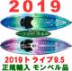 2019 �ѡ����ץ���� ����å� �ȥ饤��9.5 �ϥå��ĥ� ( ���� #1845558 )