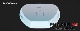 2024-25 �������� �ե������� �ե�����ܡ��� AK PHAZER V4 FOIL BOARD ��new/����̵����