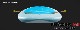 2024-25 �������� �ե������� �ե�����ܡ��� AK PHAZER V4 FOIL BOARD ��new/����̵����