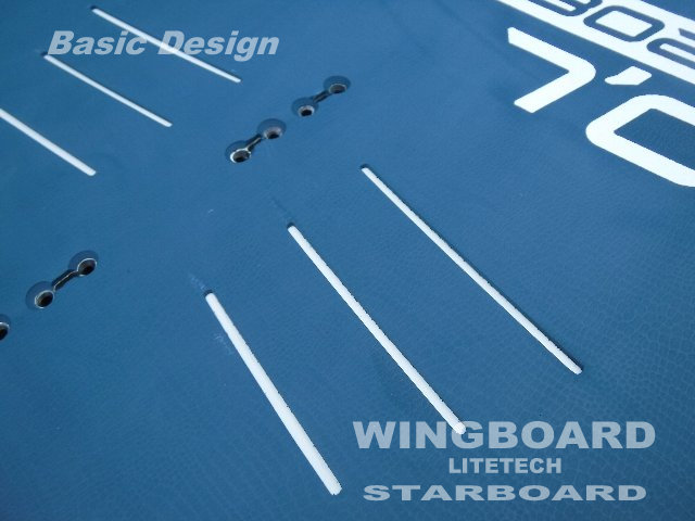 2021 ܡ 󥰥ܡ STARBOARD WINGBOARD Litetech/Starlite/carbon new/̵