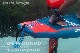 2021 ܡ 󥰥ܡ STARBOARD WINGBOARD Litetech/Starlite/carbon new/̵