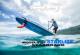 2020 �������ܡ��� ��åѡ� �������SUP STARBOARD WHOPPER WINDSUP ASAP ��new/����̵����