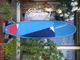 2022 �������ܡ��� ���󥰥ܡ��� �֥롼�����ܥ�STARBOARD LONGBOARD BLUECARBON 9'0"x28" (���/USUP-252)