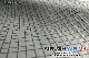 2024 ������å��� �ե꡼������ ������ ����ȥ饨�å��� AIRUSH V4 FreeWing AIR ULTRA X (new/����̵��)