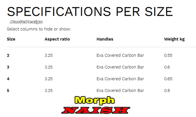 2025 �ʥå��� �ѥ�-������ �⡼�� NAISH PARA-WING MORPH ��new/����̵����