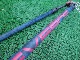 2019 ���С��� ���˥��� �����ܥ�֡��� SEVERNE ENIGMA CARBON 140-190cm (���/URB-238)