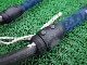 2019 ���С��� ���˥��� �����ܥ�֡��� SEVERNE ENIGMA CARBON 140-190cm (���/URB-238)