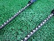 2019 ���С��� ���˥��� �����ܥ�֡��� SEVERNE ENIGMA CARBON 140-190cm (���/URB-238)