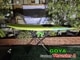 2024-25 ���� �������� ���饹���� 4 �ץ� GOYA CUSTOM THRUSTER 4 PRO  �����ܥ� (new/����̵��)