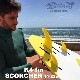 2025-26 �����ե����ե��� ���������㡼 �����åȥܥå���K4 FIN SCORCHER��new/SlotBox��