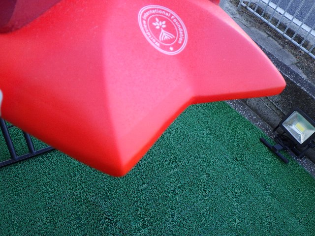 2024 �������ܡ��� ����ȥ� �������� STARBOARD ULTRA wave 93 �����ܥ�  (���/UBW-341��