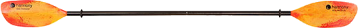 2016 ����å��ѥɥ� �����ѥå����������TAP�ѥɥ� ( ���� #1855068 )