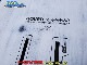2024 �ʥå��� �ۥС� �����󥦥���� �ե�����ܡ���NAISH HOVER DOWNWIND FOIL  ��new/����̵����