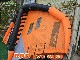 2024 Y29 �����륢����ǥ� ������ ������ RRD EVO WING  (new/����̵��)