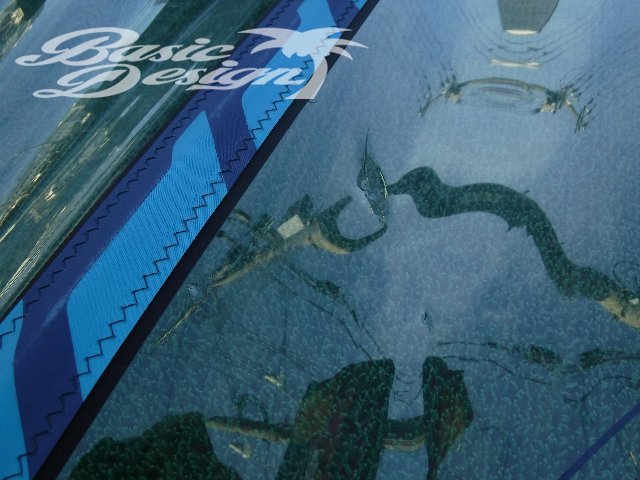 2019 ���С��� ���̥������å��� SEVERNE NCX 6.0m2�����/USR-242��