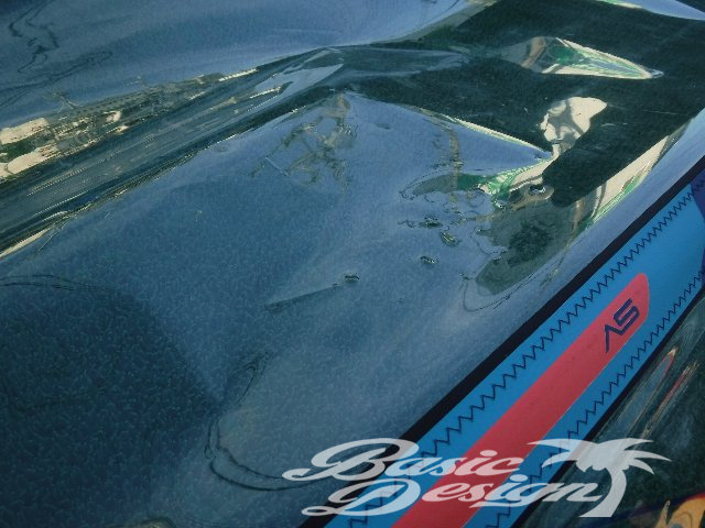 2019 ���С��� ���̥������å��� SEVERNE NCX 6.0m2�����/USR-242��