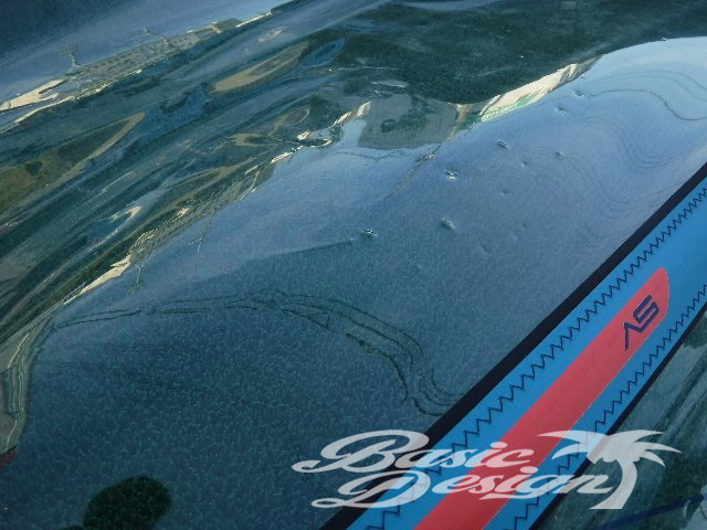 2019 ���С��� ���̥������å��� SEVERNE NCX 6.0m2�����/USR-242��