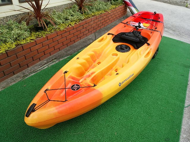 2016-17 �ѡ����ץ���� ����å� �ȥ饤��9.5 �ϥå��ĥ� ( ���� #1845558 )