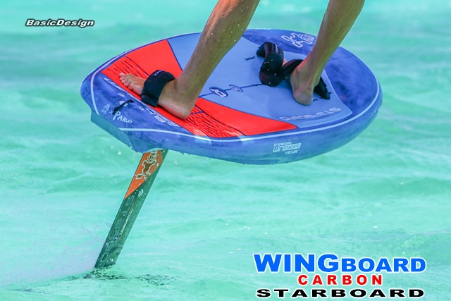 2024 �������ܡ��� �����󥰥ܡ��� STARBOARD WINGBOARD ��new/����̵����