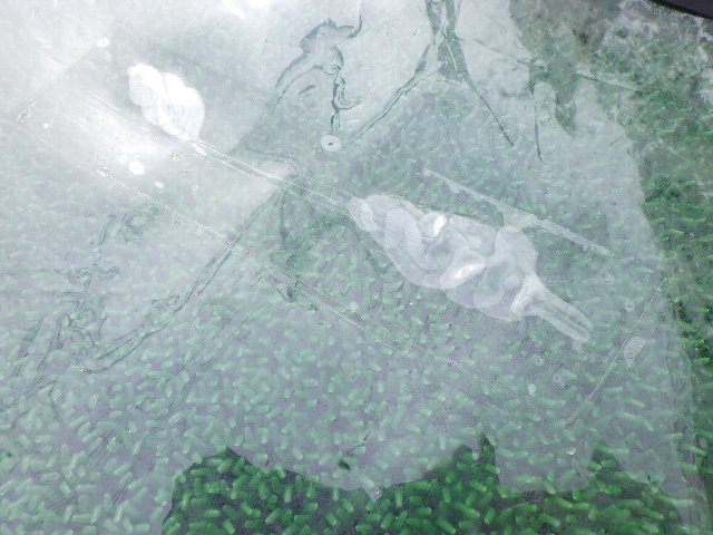 2024 �����륢����ǥ� ���������֥�å���ܥ� RRD VOGUE Y29 4.5m2 (���/USW-812��