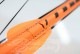 2018 ���С��� ������� SEVERNE S-1  ��new/����̵����