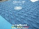 2021 ܡ 󥰥ܡ ѥǥ STARBOARD LONGBOARD FOR JAPAN new/̵
