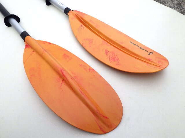 2017 ݥ65 ĥ顼åѥɥ POINT65 new )