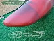 2016 �ѡ����ץ���� ����å� �������10.5 ���� #1845683�����/UKYK-008)