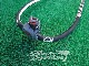 2017 �����륢����ǥ� RRD MR RDM ����ߥ֡���140cm (���/URB-147)