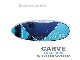 2020 �������ܡ��� ������ STARBOARD CARVE STARLITE/FLAXBALSA (new/����̵��)