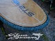 2017 �������ܡ��� �ʥå� �ѥ���ƥå� STARBOARD NUT PINETEK 9'5"x29" (���/USUP-164)