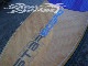 2017 �������ܡ��� �ʥå� �ѥ���ƥå� STARBOARD NUT PINETEK 9'5"x29" (���/USUP-164)