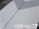 2017 �ӥ�եå� ���եȥȥå� BILL FOOTE Soft top BF10'0" (���/USUP-146)