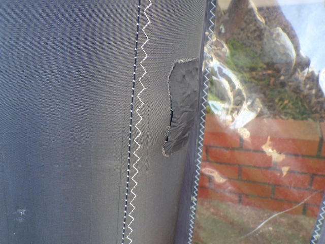 2024-25 ���󥷥� �ȥåץ��ԥ� ENSIS Wing TOP-SPIN 5.1m2-B (���/UWING-150)