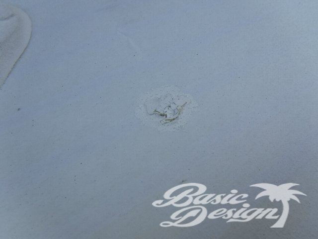 2020 ���� �ץ��ȥ� ��������� GOYA PROTON SLALOM 117�����/UBS-186��