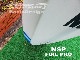 2022-23 ���̥����ԡ� �ե����� �ץ� �����󥰥ܡ��� NSP FOIL PRO WING BOARD ��new/����̵����